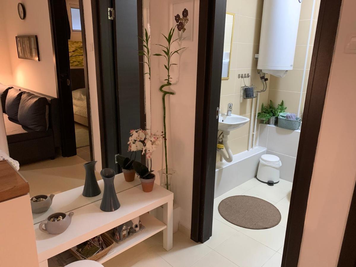 N6 Apartment โนวีซาด ภายนอก รูปภาพ
